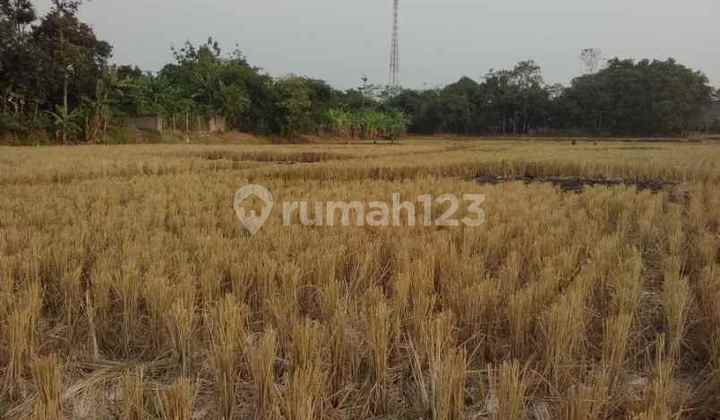 Tanah Strategis Bangun Industri Pinggir Jalan Raya Cibogo