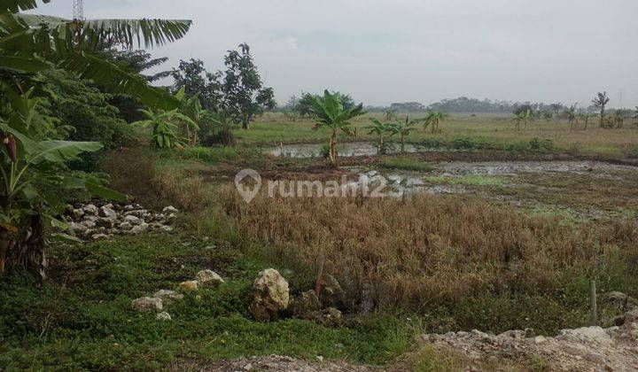 Tanah Untuk Ruang Usaha Dan Gudang Pinggir Jalan Raya Tambelang 1