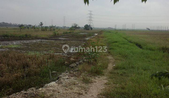 Tanah Untuk Ruang Usaha Dan Gudang Pinggir Jalan Raya Tambelang 2