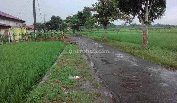 Tanah Untuk Perumahan Strategis Dekat Jalan Raya Gunungsari 2