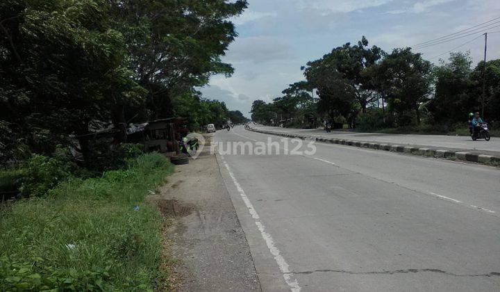 Tanah Untuk Bangun Usaha Dan Gudang Pinggir Jalan Lingkar Tanjungpura 2