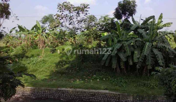 Tanah Dekat Dengan Gerbang Tol Subang Cocok Untuk Gudang 2