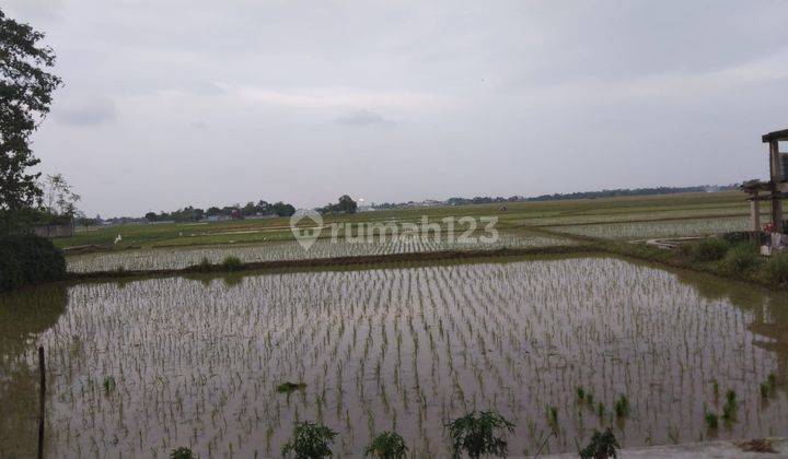 Tanah Pinggir Jalan Syeh Quro Plawad Cocok Bangun Gudang Dan Usaha 1