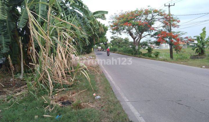 Tanah Pinggir Jalan Syeh Quro Plawad Cocok Bangun Gudang Dan Usaha 2