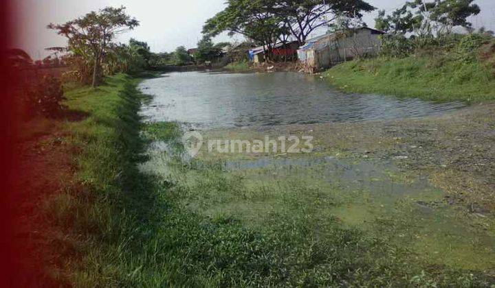 Tanah Untuk Bangun Gudang Pinggir Jalan Dekat Jalan Pantura Losarang 2