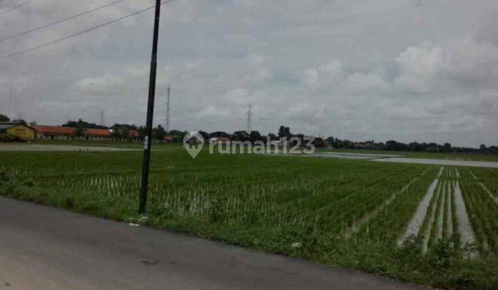 Tanah Untuk Cluster Dan Gudang Strategis Pinggir Jalan Raya Tambelang 1