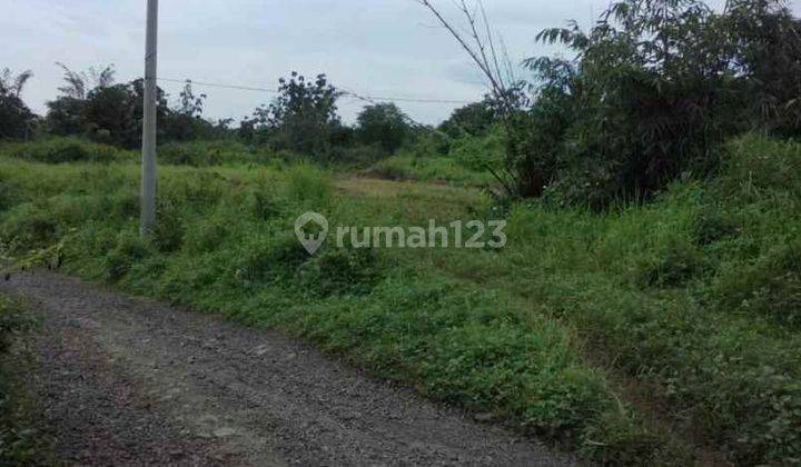 Tanah Peruntukan Kandang Blok Salep Zona Industri Sanca Dekat Tol 1