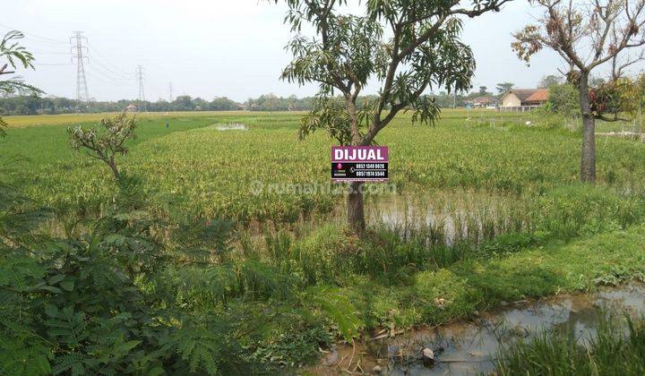 Tanah Pinggir Jalan Widasari Strategis Dan Cocok Untuk Usaha Dan Gudang 1