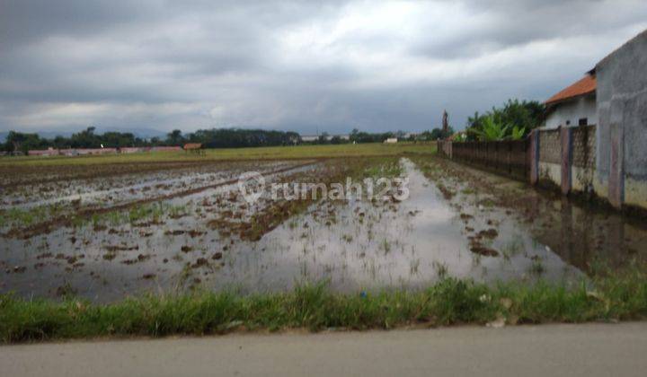 Tanah Pinggir Jalan Belendung Subang Untuk Rumah Usaha Atau Gudang 1