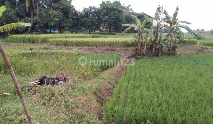 Tanah Pinggir Jalan Sanca Strategis Bangun Industri Atau Gudang 1