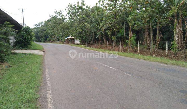 Tanah Industri Dan Gudang Pinggir Jalan Alternatip Subang Cikamurang 2