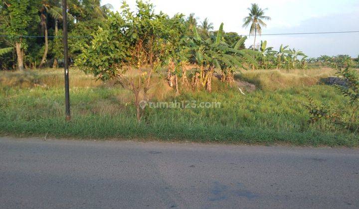 Tanah Pinggir Jalan Sanca Strategis Bangun Industri Atau Gudang 1