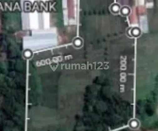 Tanah Pinggir Jalan Raya Cinangsi Strategis Bangun Gudang Atau Cluster 1