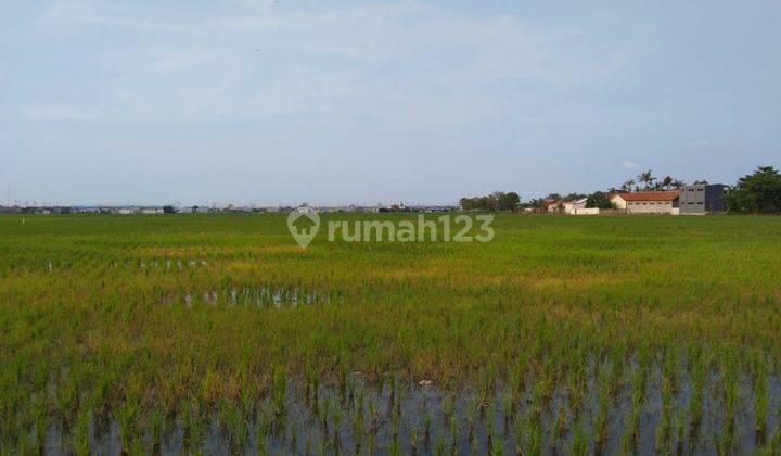 Tanah Untuk Perumahan Cluster Atau Subsidi Pinggir Jalan Raya Kali Cbl