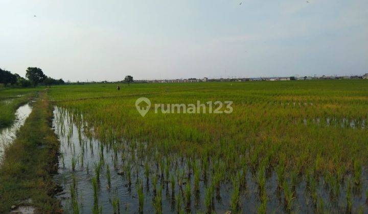 Tanah Untuk Perumahan Cluster Atau Subsidi Pinggir Jalan Raya Kali Cbl 2