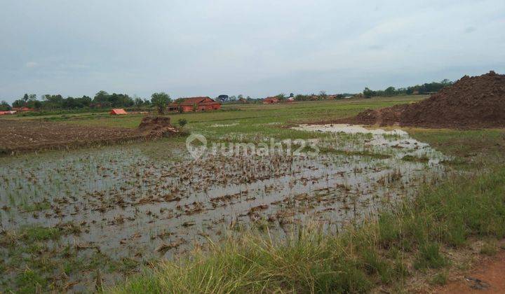 Tahah Untuk Pertanian Dan Usaha Kandang Ayam Lokasi Pertanian Terisi 1