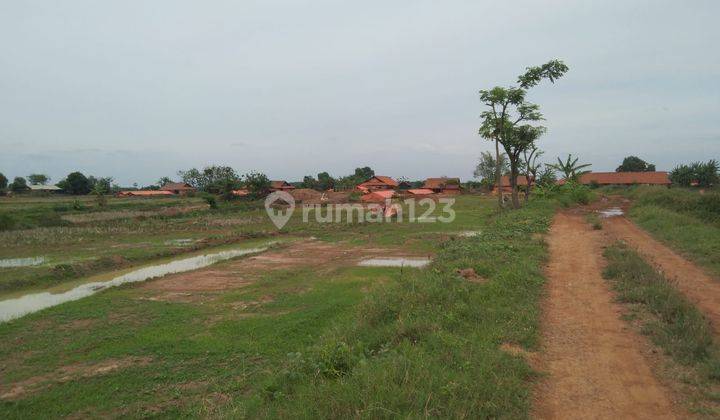 Tahah Untuk Pertanian Dan Usaha Kandang Ayam Lokasi Pertanian Terisi 2