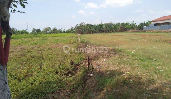 Tanah Untuk Ruang Usaha Pinggir Jalan Raya Tambelang Dekat Tol Gabus 1