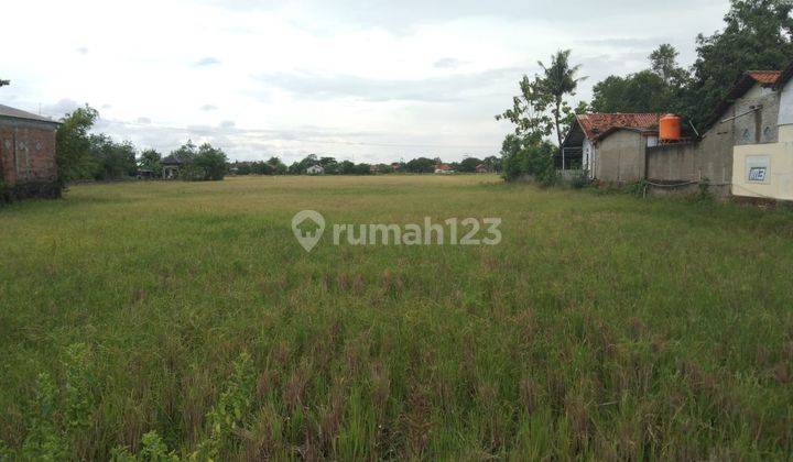 Tanah Sawah Untuk Usaha Atau Gudang Pinggir Jalan Pantura Lohbener 1