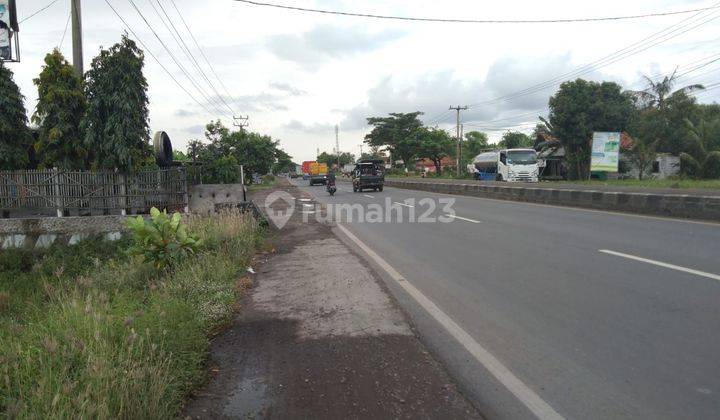 Tanah Sawah Untuk Usaha Atau Gudang Pinggir Jalan Pantura Lohbener 2