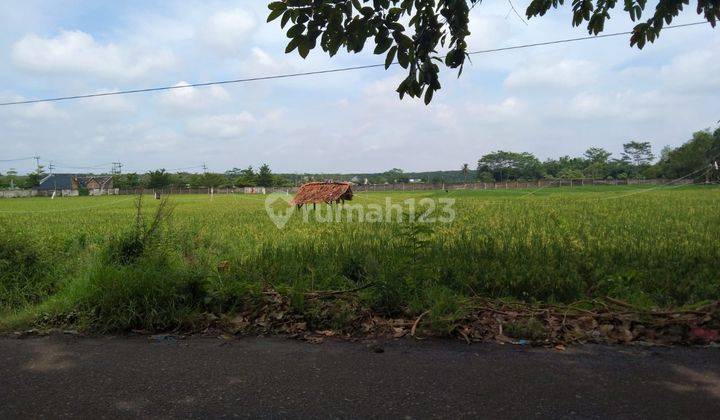 Tanah Untuk Usaha Atau Gudang Pinggir Jalan Kartini Subang 1