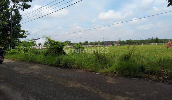 Tanah Untuk Usaha Atau Gudang Pinggir Jalan Kartini Subang 2