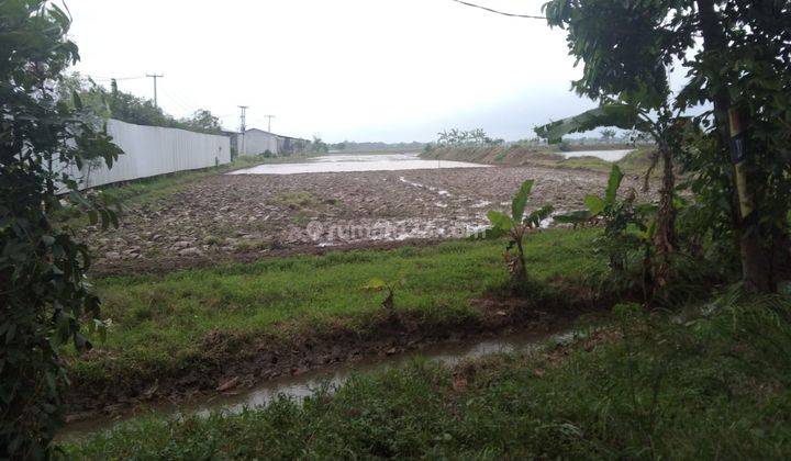 Tanah Untuk Kandang Atau Gudang Pinggir Jalan Gabuswetan Indramayu 1