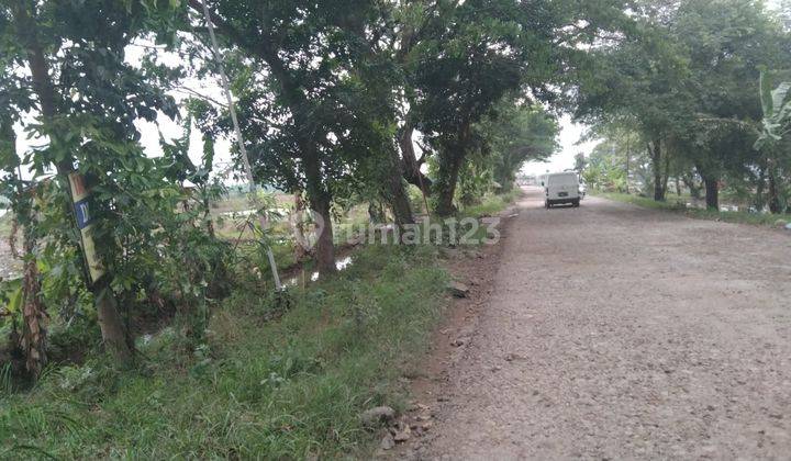 Tanah Untuk Kandang Atau Gudang Pinggir Jalan Gabuswetan Indramayu 2