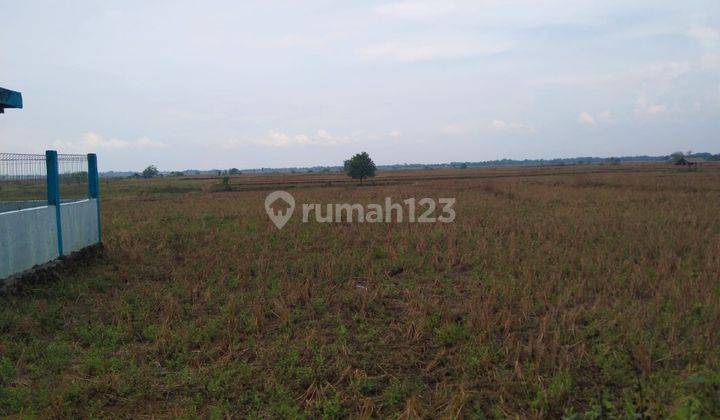 Tanah Pinggir Jalan Palasah Gantar Cocok Untuk Kandang Dan Pertanian 1