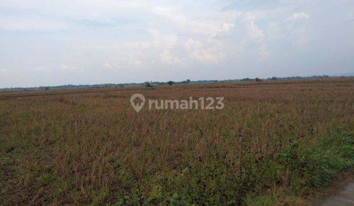 Tanah Pinggir Jalan Palasah Gantar Cocok Untuk Kandang Dan Pertanian 2