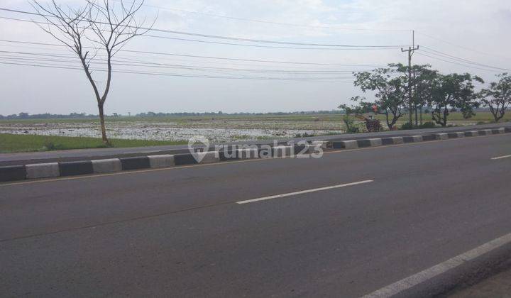 Tanah Untuk Gudang Pinggir Jalan Raya Pantura Lohbener Indramayu 2