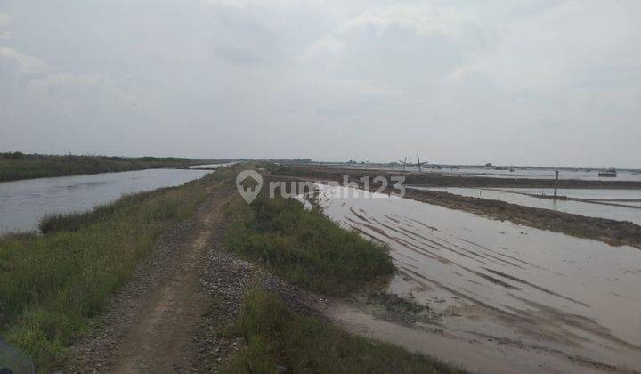 Tanah Tambak Zona Tambak Cemara Losarang Akses Jalan Mobil 2