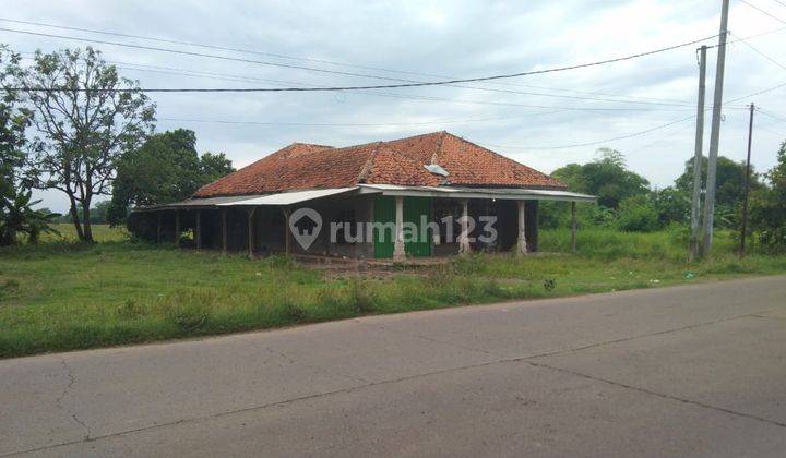 Tanah Untuk Gudang Dan Ruang Usaha Pinggir Jalan Syeh Quro Linggarsari 1