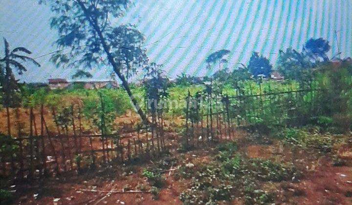 Tanah Peruntukan Cluster Atau Gudang Dekat Jalan Raya Cinangsi 1