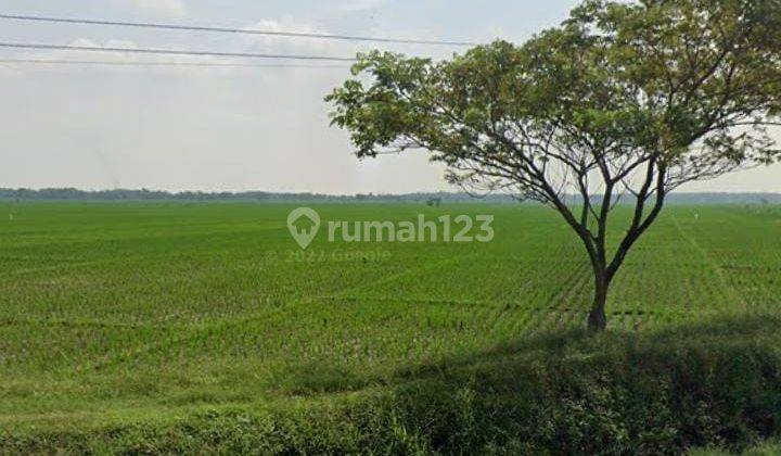 Tanah Industri Dan Gudang Pinggir Jalan Dekat Gerbang Tol Kertajati 1