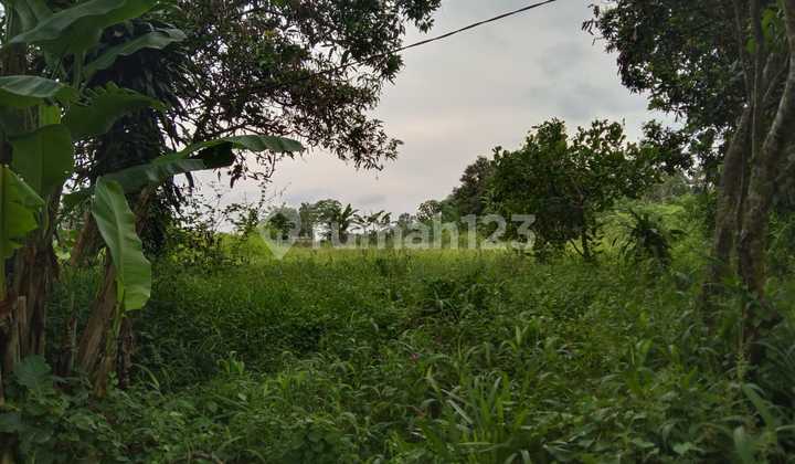 Industrial Land on the Side of Susukan Gunungsari Pagaden Road, Near the Toll Road. Industrial Land on the Side of Susukan Gunungsari Pagaden Road, Near the Toll Road.