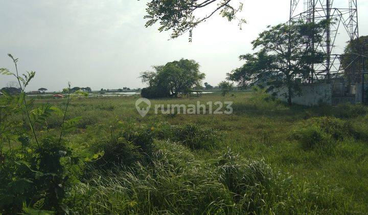 Tanah Pinggir Jalan Pantura Losarang Peruntukan Industri Atau Gudang 2