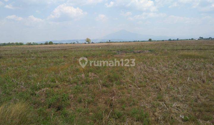 Tanah Untuk Kandang Ayam Dan Peretanian Pinggir Jalan Blok Ampera 1