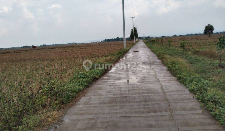 Tanah Pinggir Jalan Palasah Koneng Cocok Untuk Kandang Dan Pertanian 1