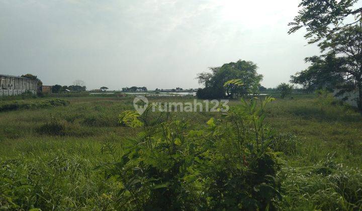 Tanah Untuk Indutri di Kawasan Jalan Pantura Losarang Indramayu 1