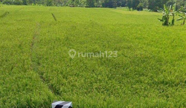 Tanah Untuk Usaha Atau Rumah Dan Kantor Pinggir Jalan Sagalaheang 2