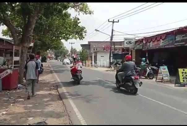 Tanah Untuk Ruang Usaha Atau Gudang Pinggir Jalan Raya Cinamgsi 2