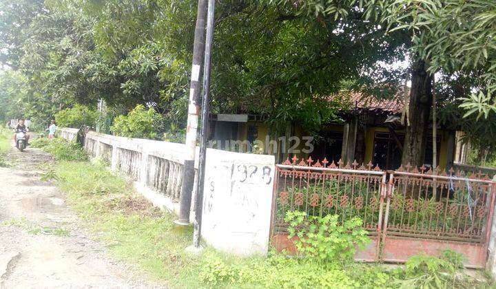  Rumah Untuk Usaha Dan Gudang Dekat Jalan Pantura Kertasmaya Hitung Tanah Saja 1