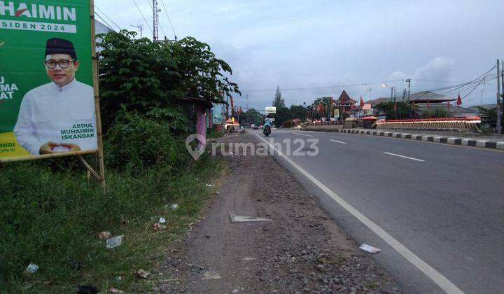 Tanah Pinggir Jalan Pantura Losarang Cocok Untuk Usaha Dan Gudang 2