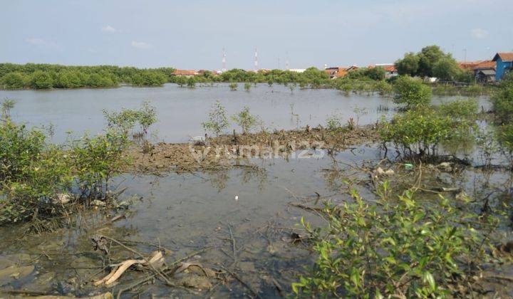 Tanah Tambak Dekat Jalan Pantura Dan Pantai Eretan Dengan Multi Guna 1