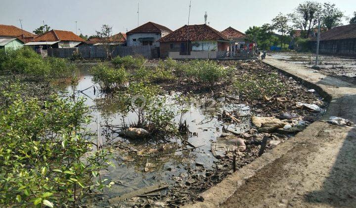 Tanah Tambak Dekat Jalan Pantura Dan Pantai Eretan Dengan Multi Guna 2