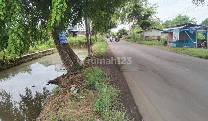 Tanah Strategis Pinggir Jalan Syeh Quro Telagasari Cocok Untuk Usaha 2