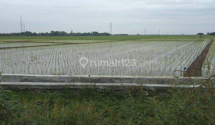 Tanah Strategis Pinggir Jalan Syeh Quro Majalaya Untuk Ruang Usaha 1