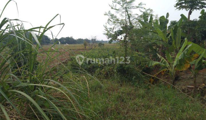 Tanah Untuk Usaha Pinggir Jalan Syeh Quro Telagasari 2