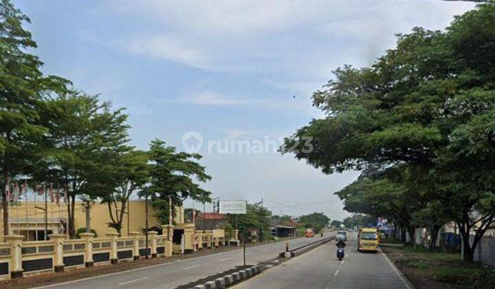 Tanah Untuk Usaha Dan Rumah Kantor Pinggir Jalan Pantura Losatang 2